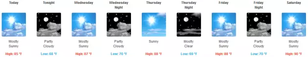 forecast