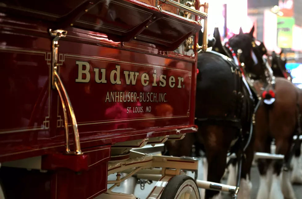 The Legacy Of Anheuser-Busch’s Iconic Commercials For The Big Game