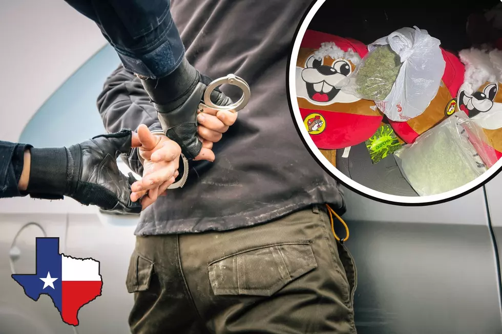Texas Man Caught Smuggling Drugs In Plush Toys From Buc-ee’s