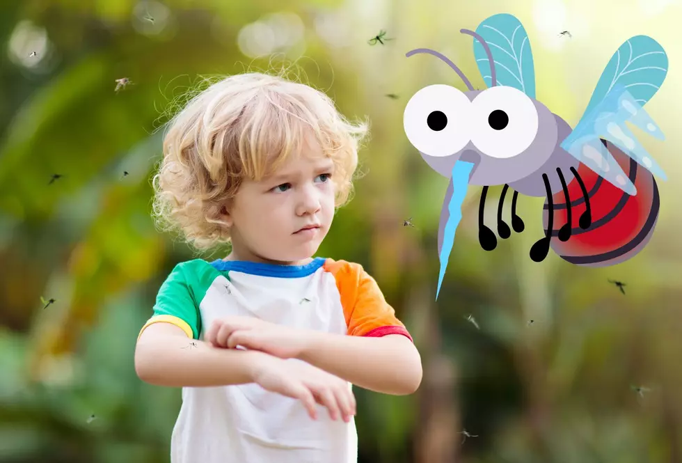 This Last Texas Cold Snap Won’t Kill The Mosquitos