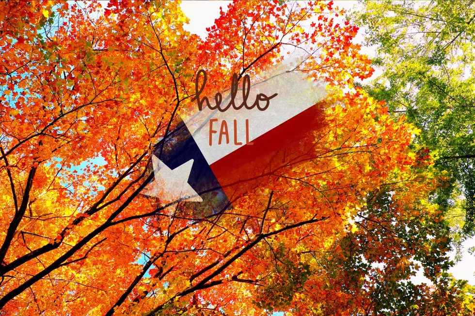 Fall Color Is Headed To Texas, Here’s When To Expect Some Beautiful Colors