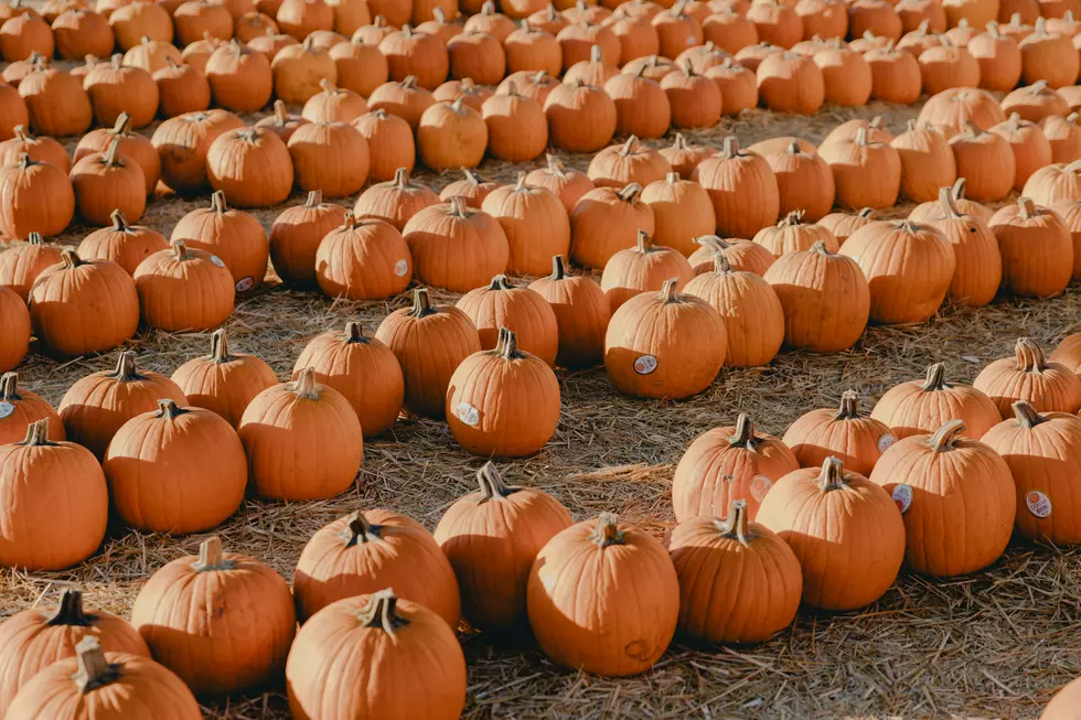 The Best Pumpkin Patches Across East Texas For Fall Fun