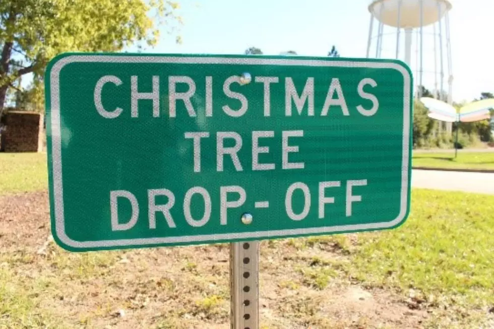 Tyler and Longview Christmas Tree Drop-Off Spots You Need to Know