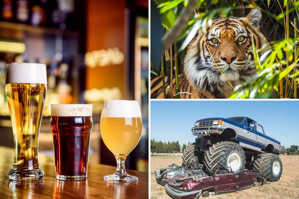 8 Things To Do Around East Texas This Weekend – March 14