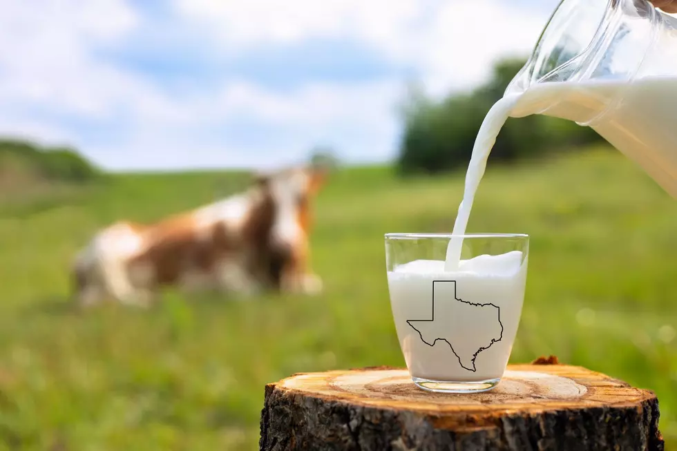 Will Texas Soon Have Raw Milk in Grocery Store Aisles?