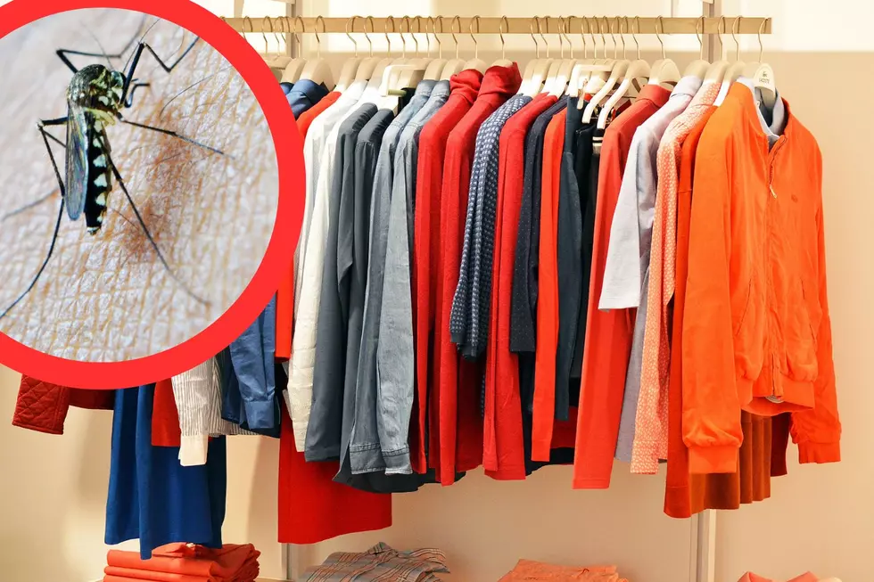 Texans: Beware These Four Colors Make You Mosquito Bait